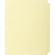 Business Source Mylar-reinforced Plain Tab Indexes (BSN16480)