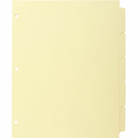 Business Source Mylar-reinforced Plain Tab Indexes (BSN16480)