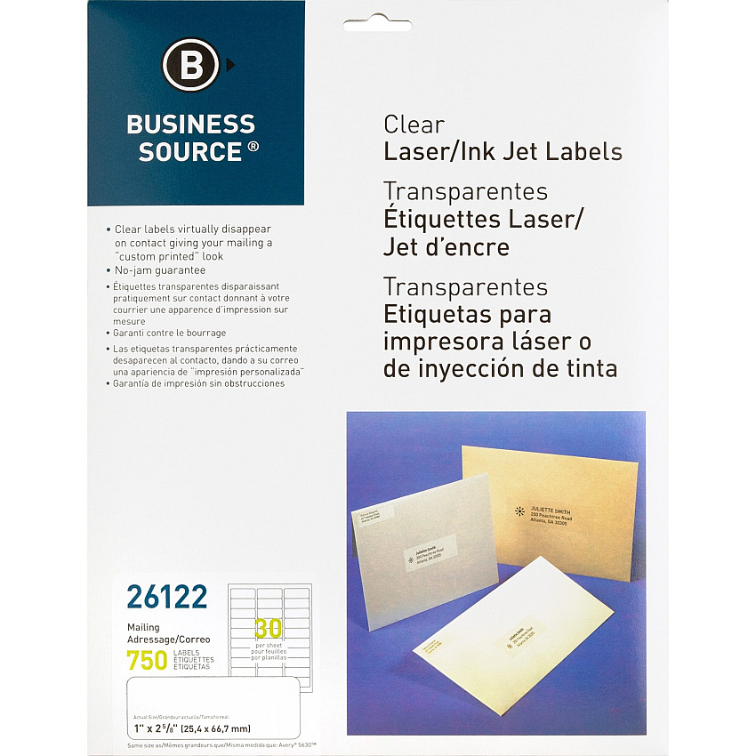 Business Source Mailing Address Labels (BSN26122)