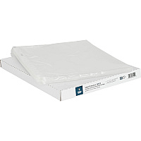 Business Source Sheet Protectors (BSN16512)