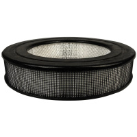 Honeywell True HEPA Replacement Filter (HWLHRFF1)