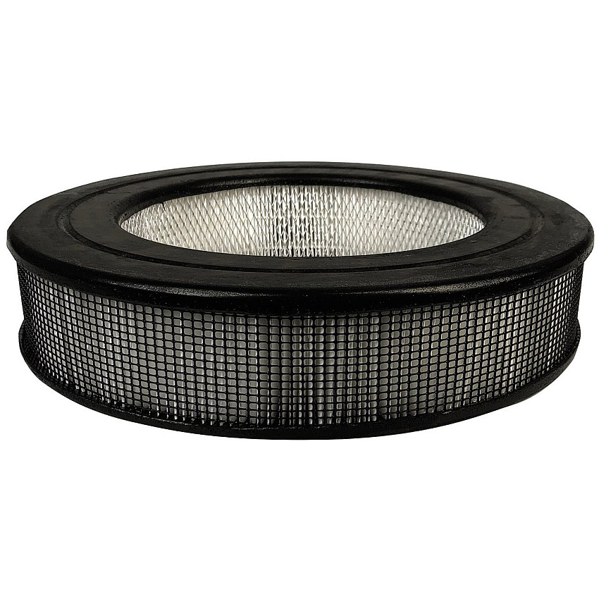 Honeywell True HEPA Replacement Filter (HWLHRFF1)