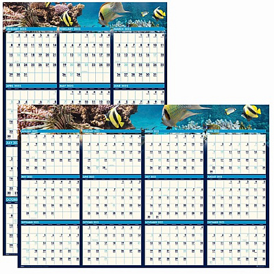 House of Doolittle Earthscapes Recycled Reversible/Erasable Yearly Wall Calendar, Sea Life Photos, 24 x 37, White Sheets, 12-Month(Jan-Dec):2026 (3969)