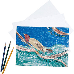 Pacon Drawing Paper (PAC4818)