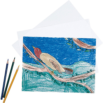 Pacon Drawing Paper (PAC4818)