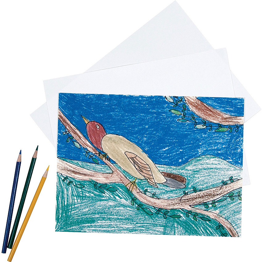 Pacon Drawing Paper (PAC4818)
