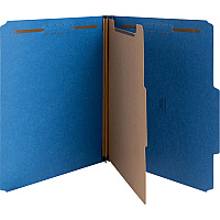 Nature Saver Letter Recycled Classification Folder (NATSP17202)
