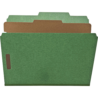 Nature Saver Letter Recycled Classification Folder (NATSP17203)