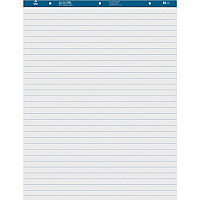 Business Source Standard Ruled Easel Pad (BSN38590)