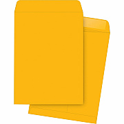 Business Source Kraft Gummed Catalog Envelopes (BSN42115)