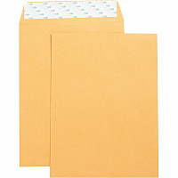 Business Source Self Adhesive Kraft Catalog Envelopes (BSN42120)