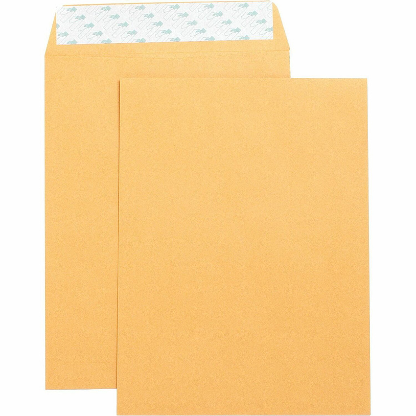 Business Source Self Adhesive Kraft Catalog Envelopes (BSN42120)