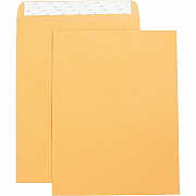 Business Source Self Adhesive Kraft Catalog Envelopes (BSN42121)
