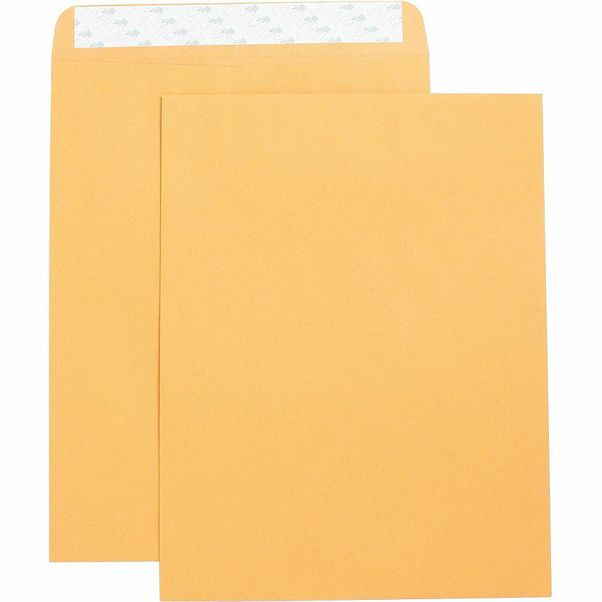 Business Source Self Adhesive Kraft Catalog Envelopes (BSN42121)