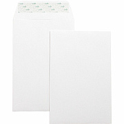 Business Source Self-Seal 6"x9" Catalog Envelopes (BSN42122)