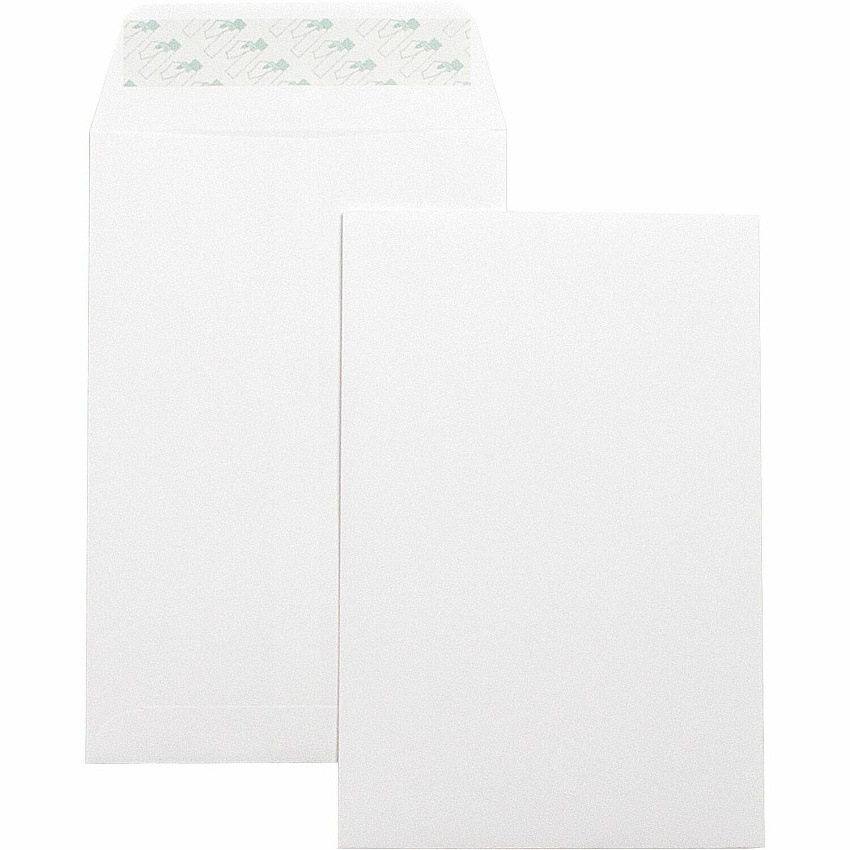Business Source Self-Seal 6"x9" Catalog Envelopes (BSN42122)
