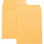 Business Source Press-To-Seal Catalog Envelopes (BSN42123)