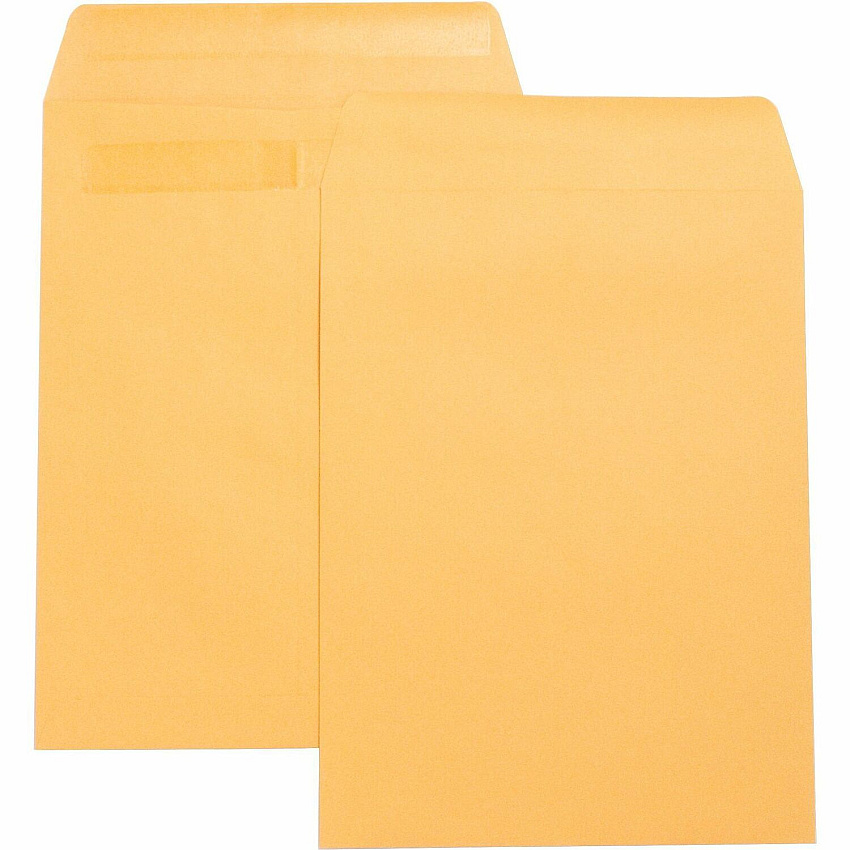 Business Source Press-To-Seal Catalog Envelopes (BSN42123)
