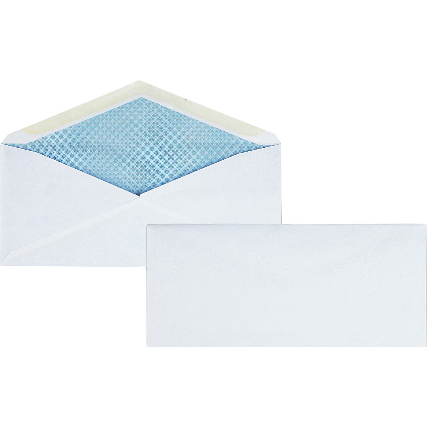 Business Source No.10 Regular Tint Security Envelopes (BSN42206)