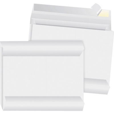 Business Source Tyvek Envelopes (65804)