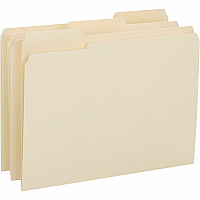 Business Source 1/3 Tab Cut Letter Recycled Top Tab File Folder (BSN16515)