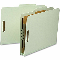 Nature Saver 2/5 Tab Cut Letter Recycled Classification Folder (NAT01056)