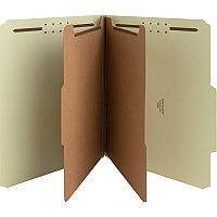 Nature Saver 2/5 Tab Cut Letter Recycled Classification Folder (NAT01057)