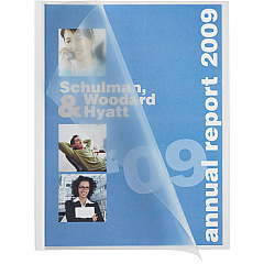 Business Source Report Cover (BSN78503)