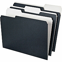 Pendaflex 1/3 Tab Cut Recycled Top Tab File Folder (PFX16101)