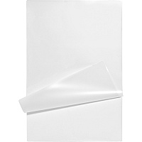 Business Source 5 mil Menu-size Laminating Pouches (BSN20856)