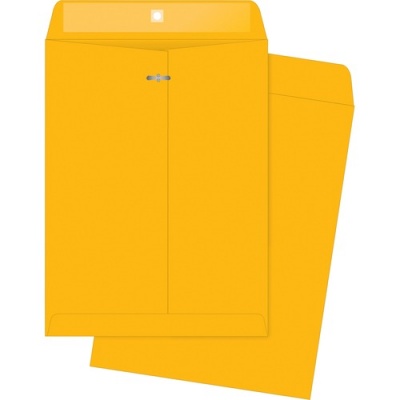Business Source Kraft Envelopes (04426)