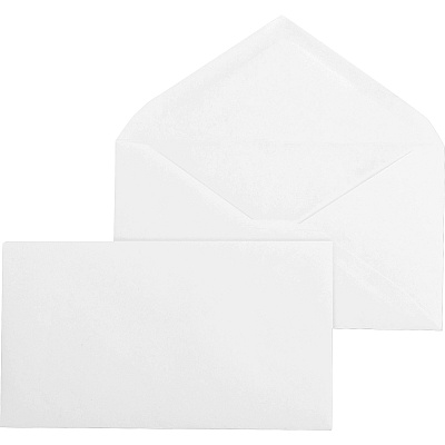 Business Source Diagonal Seam No. 9 Envelopes (BSN04469)