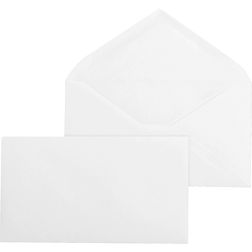Business Source Diagonal Seam No. 9 Envelopes (BSN04469)