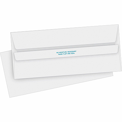 Business Source No. 10 Self-seal Invoice Envelopes (BSN04644)