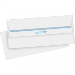 Business Source Regular Security Invoice Envelopes (04645)