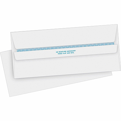 Business Source Regular Security Invoice Envelopes (BSN04645)