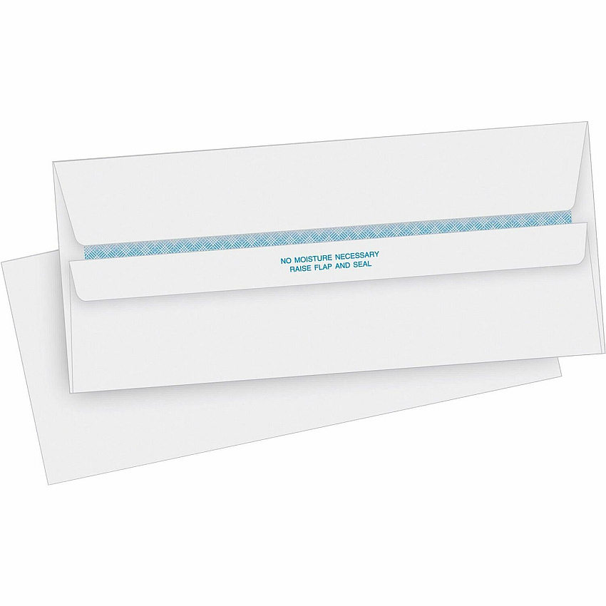 Business Source Regular Security Invoice Envelopes (BSN04645)