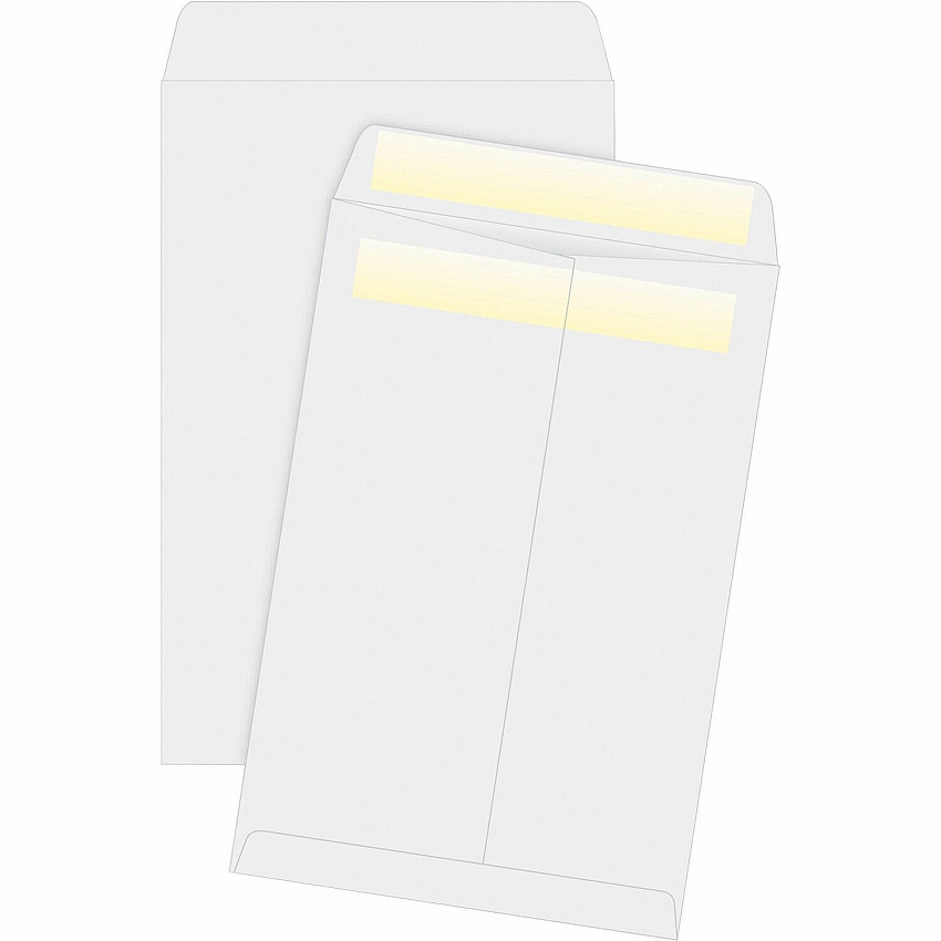 Business Source Press/Seal Catalog Envelopes (BSN04647)