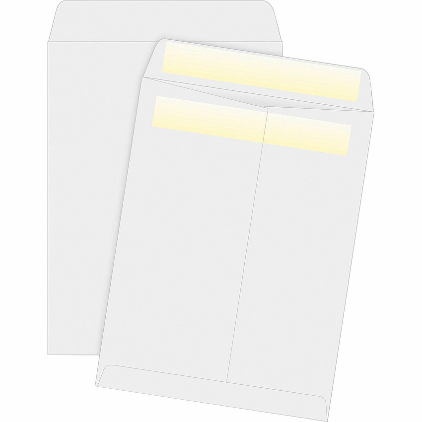 Business Source Press/Seal Catalog Envelopes (BSN04649)