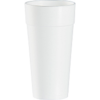 Dart 24 oz Insulated Foam Cups (DCC24J16)