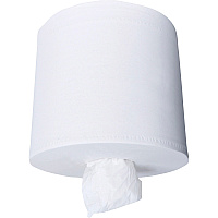 Scott Center-Pull Towels (KCC01010)