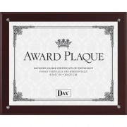 DAX Burns Group Plaque-In-An-Instant Kit (N100MT)