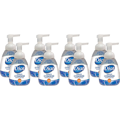 Dial Complete Foaming Hand Wash (DIA02936CT)
