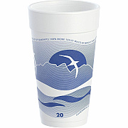 Dart 20 oz Horizon Design Foam Cups (DCC20J16H)