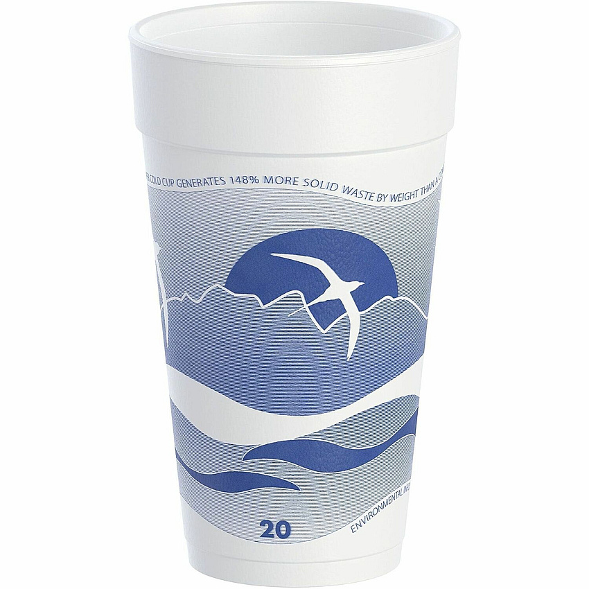 Dart 20 oz Horizon Design Foam Cups (DCC20J16H)