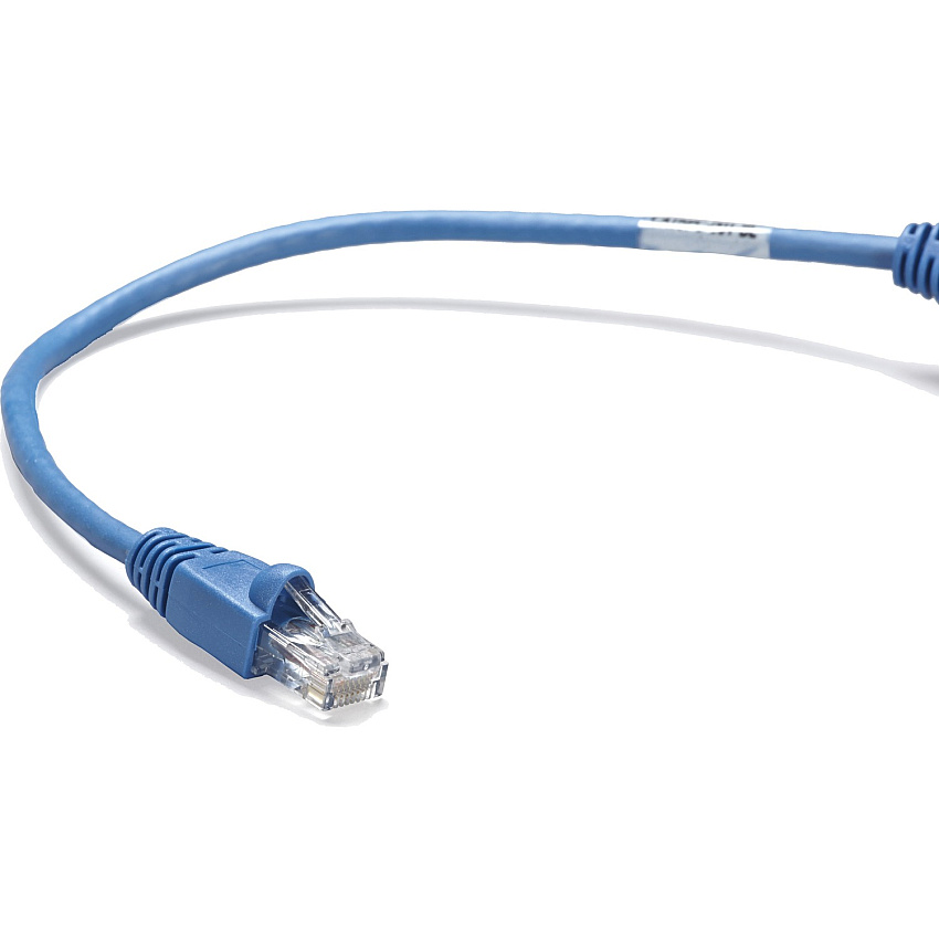 Black Box Cat6 250-mhz Molded Snagless Stranded Ethernet Patch Cable - Unshielded (utp), Cm Pvc (rj45 M/m), Blue, 1-ft. (0.3-m) (CAT6PC001BL)