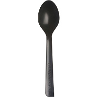 Eco-Products 6" Recycled Polystyrene Spoons (ECOEPS113)
