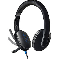 Logitech H540 USB Headset (LOG981000510)