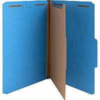 Nature Saver 2/5 Tab Cut Legal Recycled Classification Folder (NATSP17221)