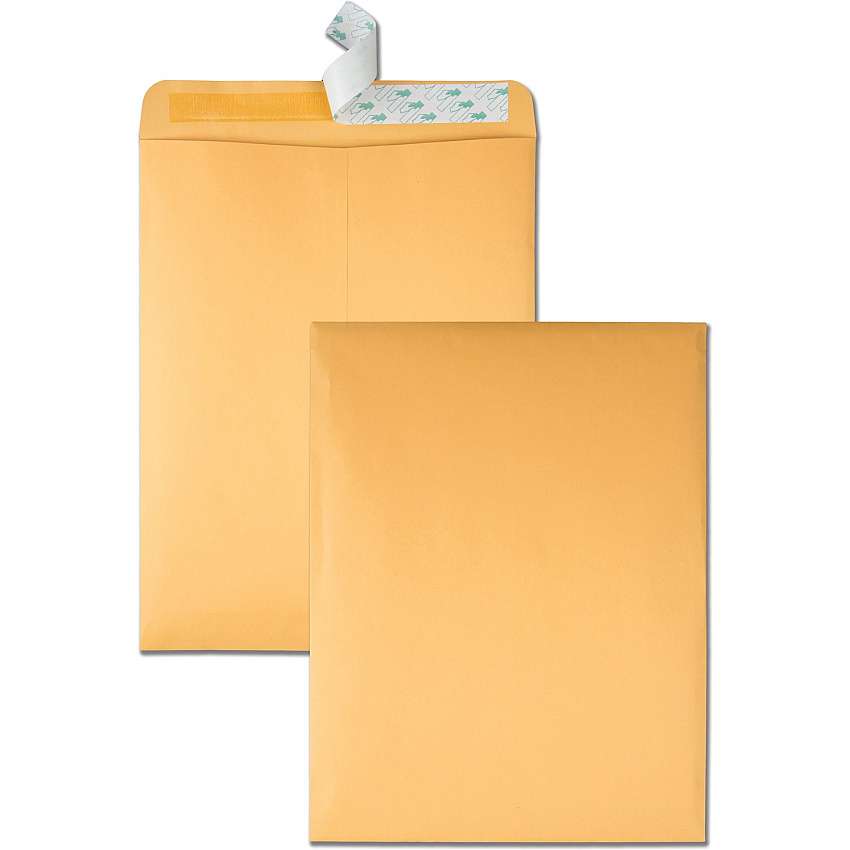 Quality Park 10 x 13 Hi Bulk Catalog Envelopes with Self-Seal Closure (QUA41620)